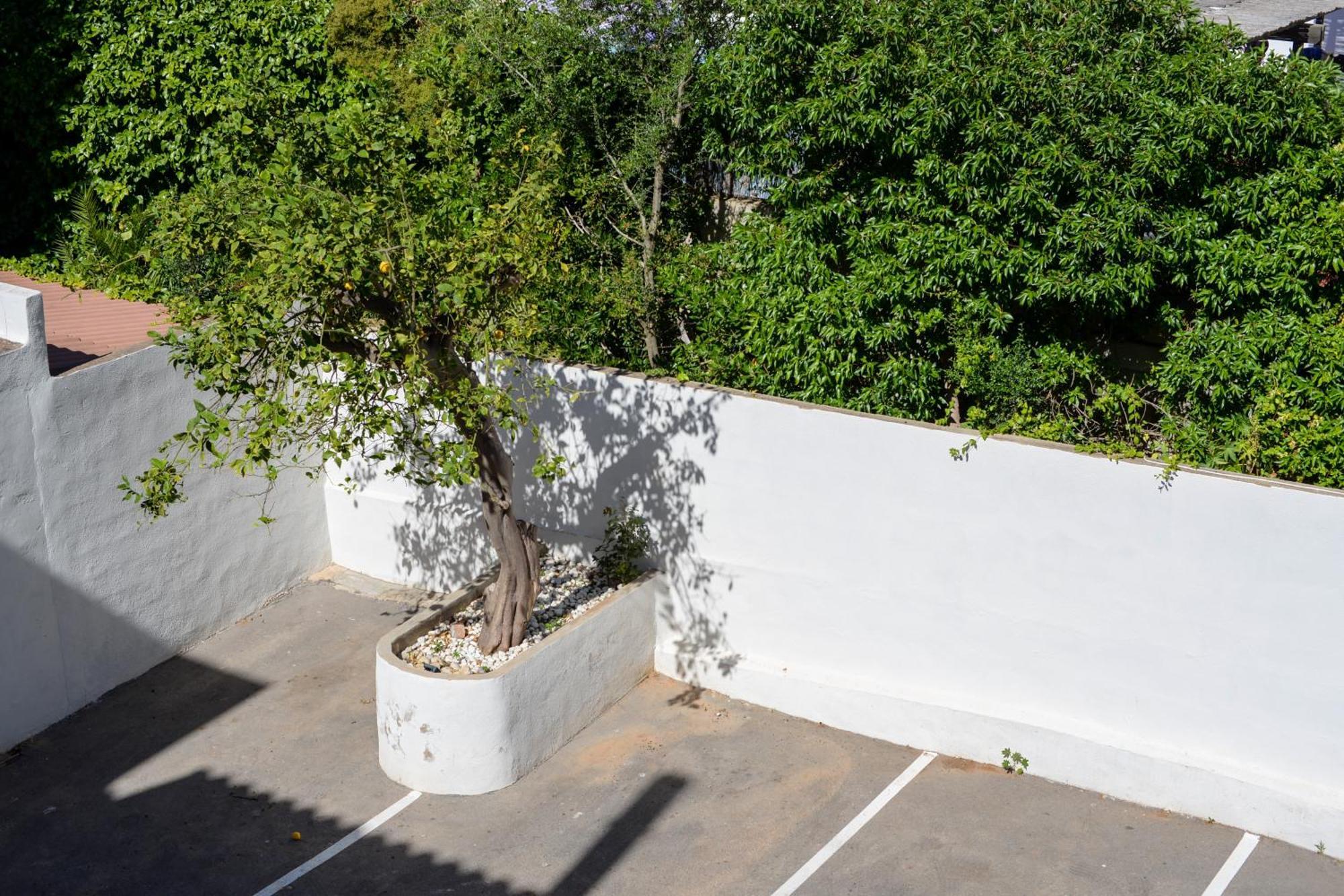 Hostal Jakiton Palmanova المظهر الخارجي الصورة